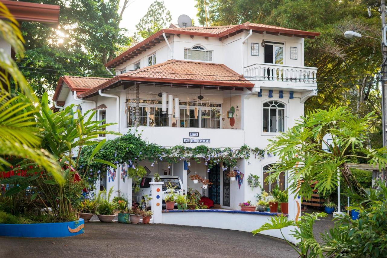 Hotel Ave Del Paraiso San José Exteriér fotografie